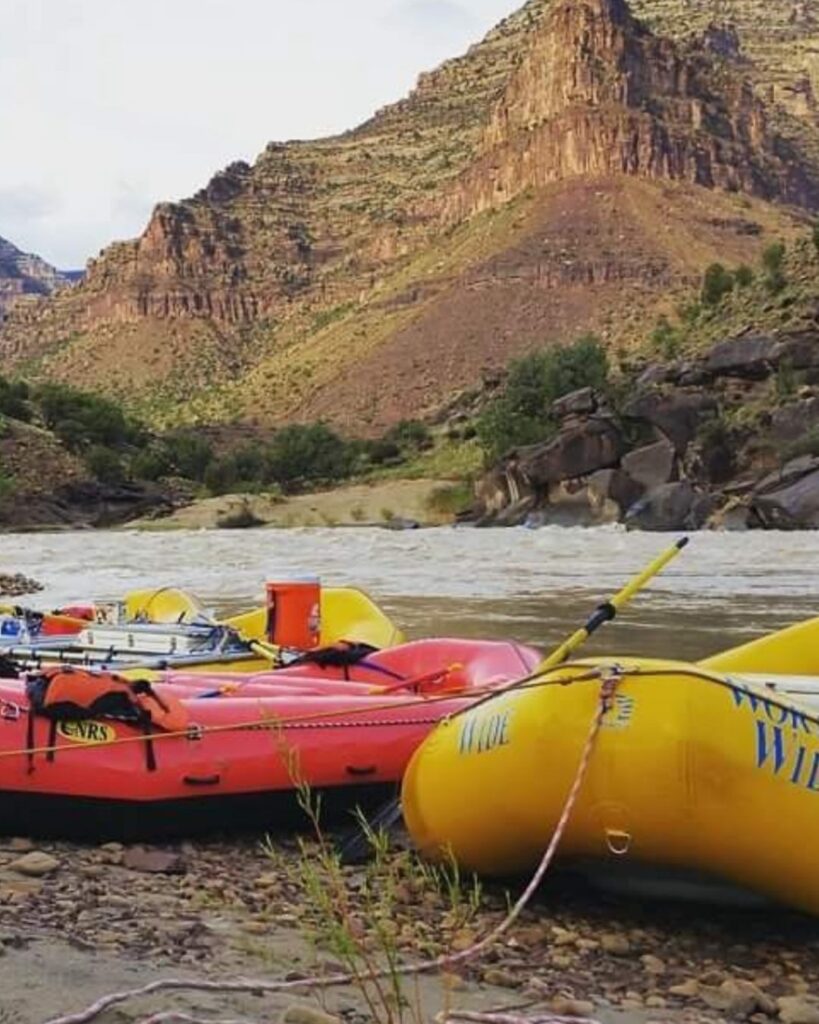 interracial adoption