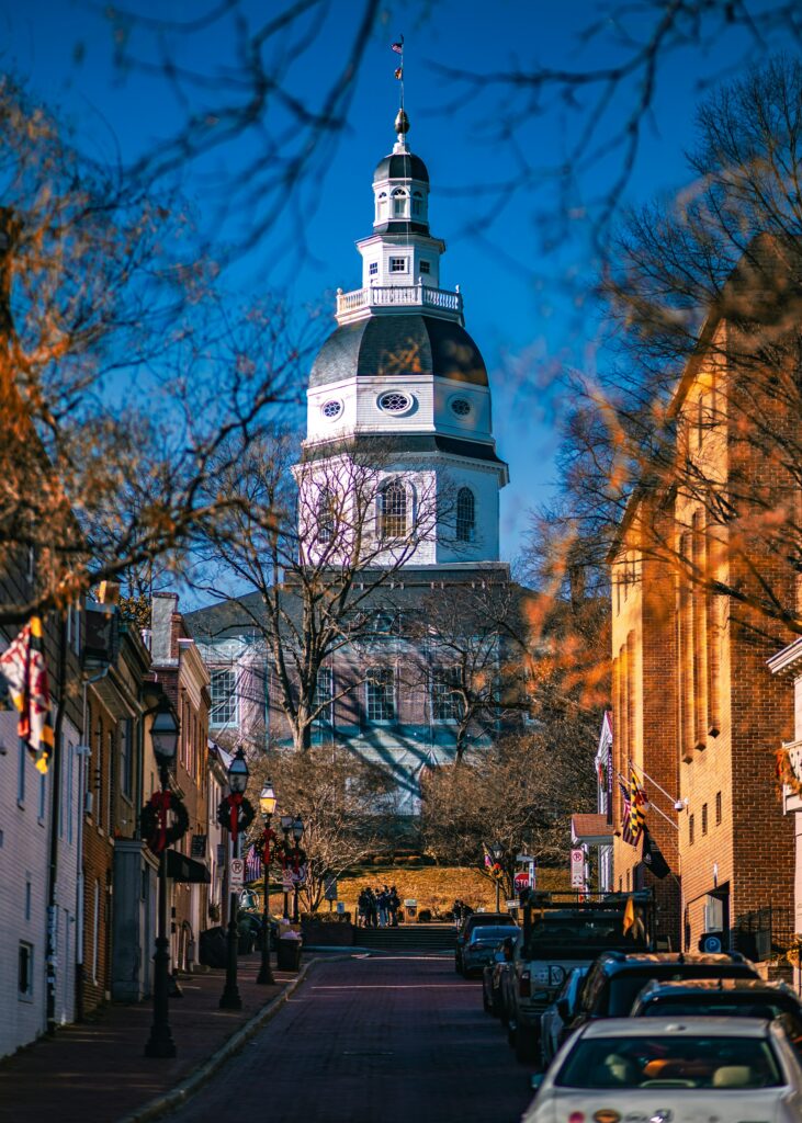 Maryland Adoption Agency, Adoption in Maryland