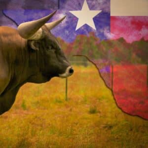What assistance can birth mothers receive in Texas