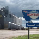 Montana Adoption