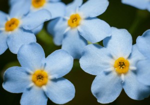 Read more about the article October 10, 2024