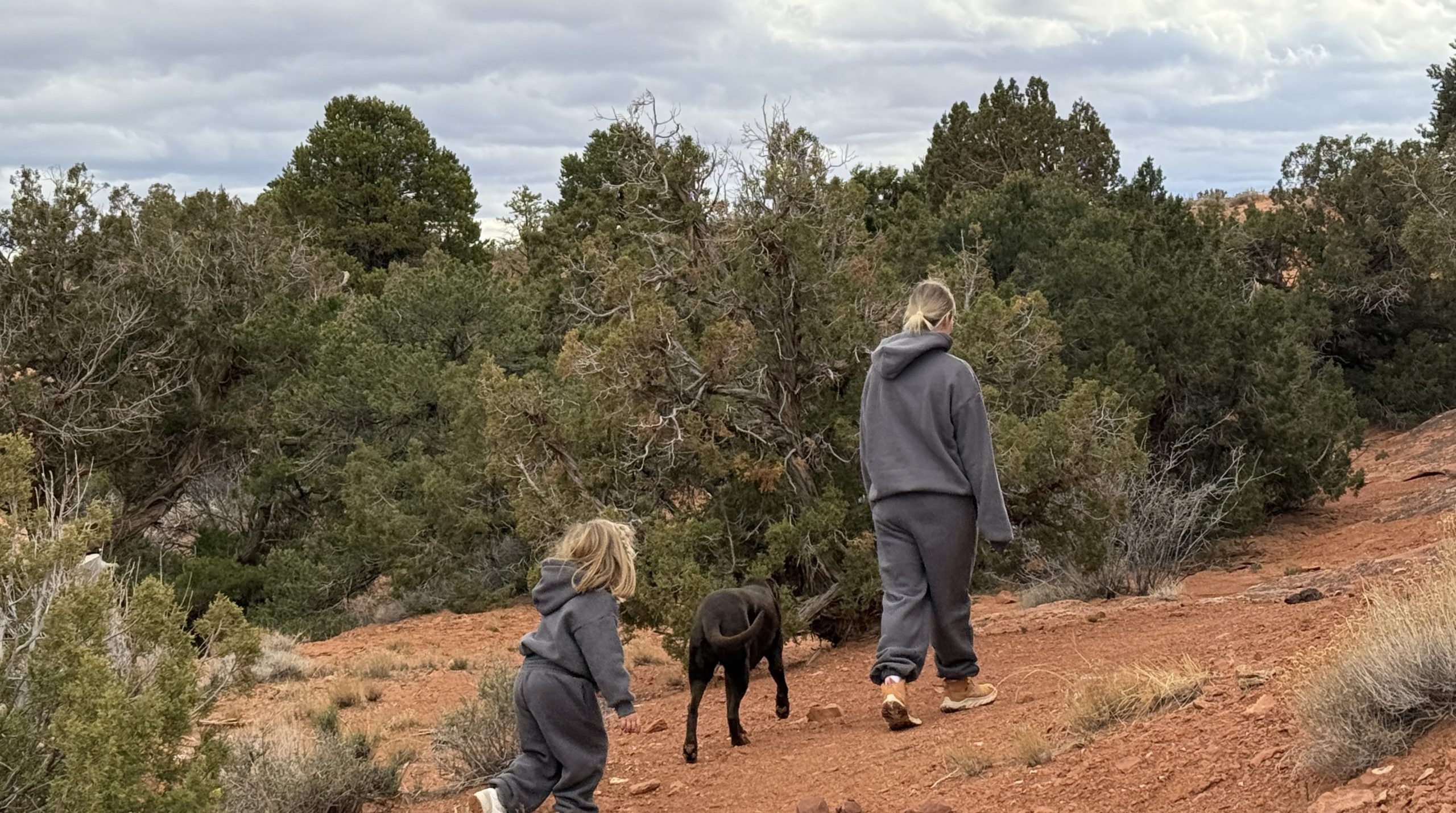 Utah adoption