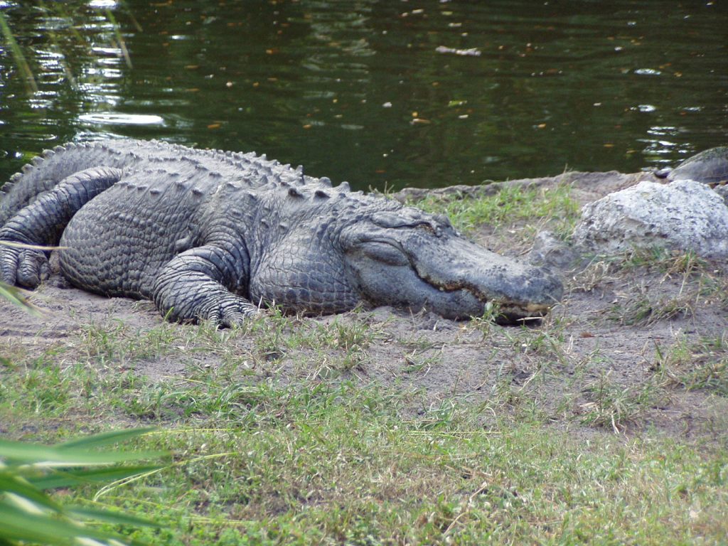 Florida locations
