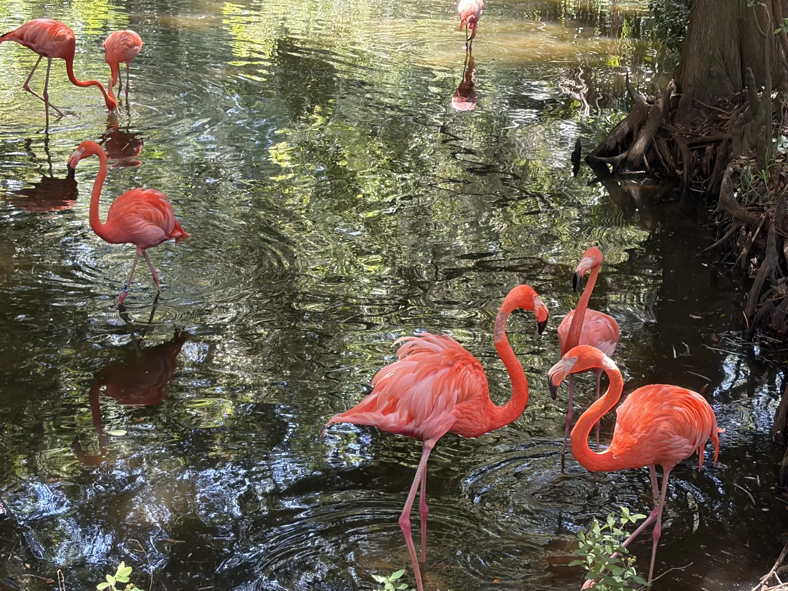 Florida rural areas