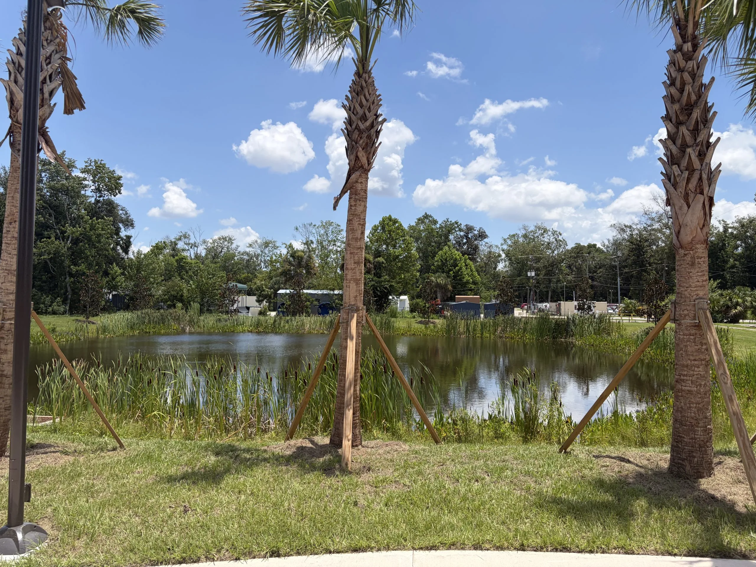 Northeast florida adoptions