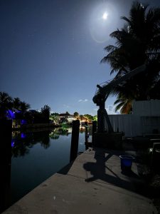 Adoption Agency in Tampa Bay