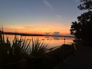 Find Adoption Help in Your Part of Florida