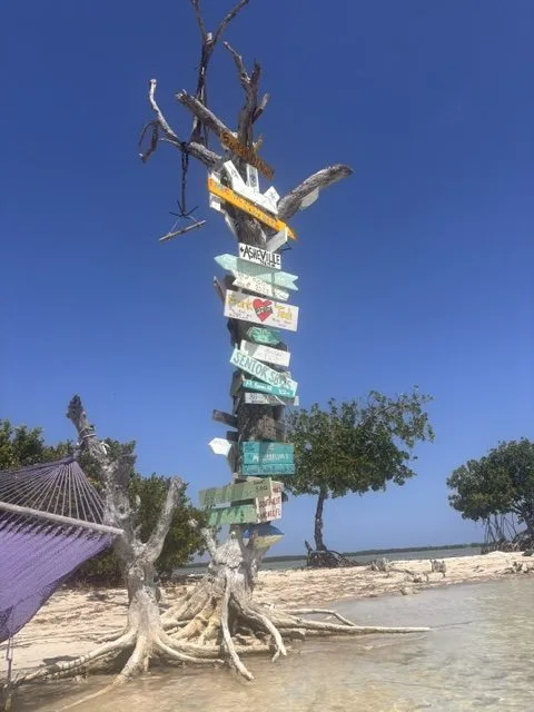 Miami adoption agency