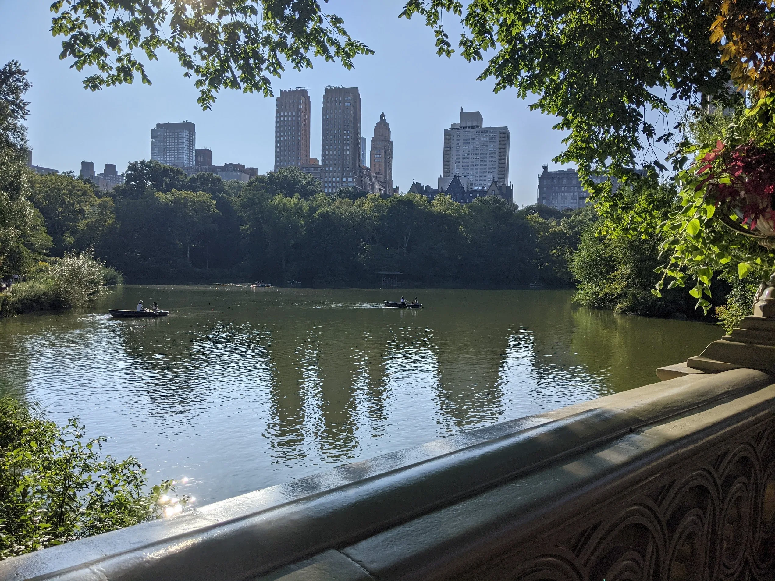 Understand adoptions plans in New York