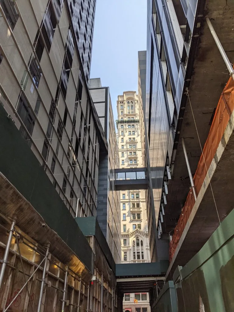 Steps to adoption in New York