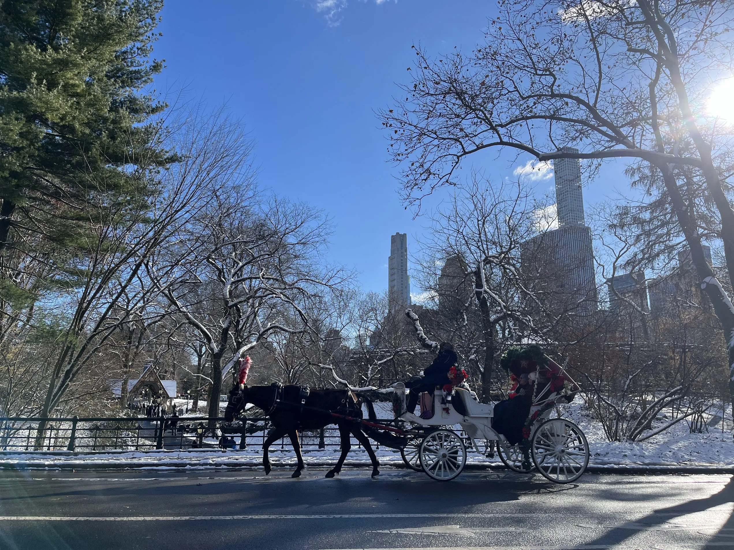New York Adoptions
