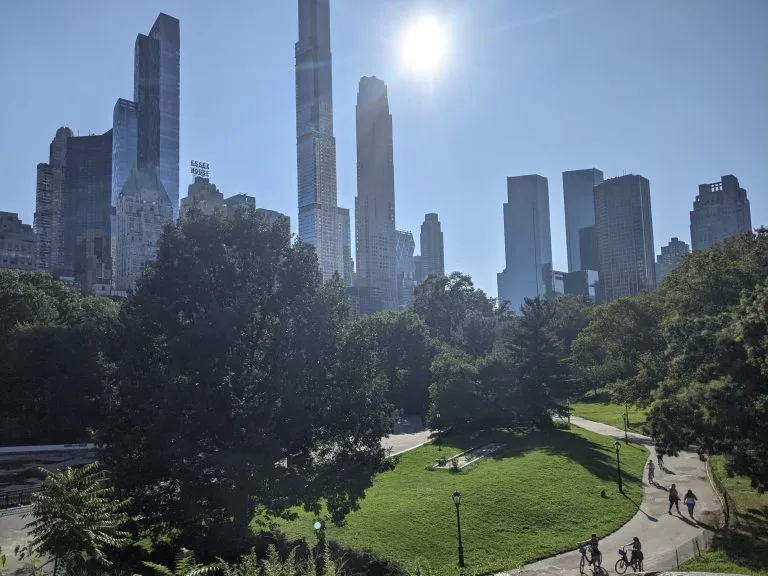 adoption choices in New York