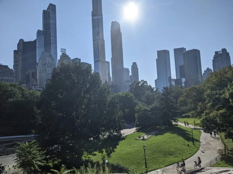 Adoption in New York City