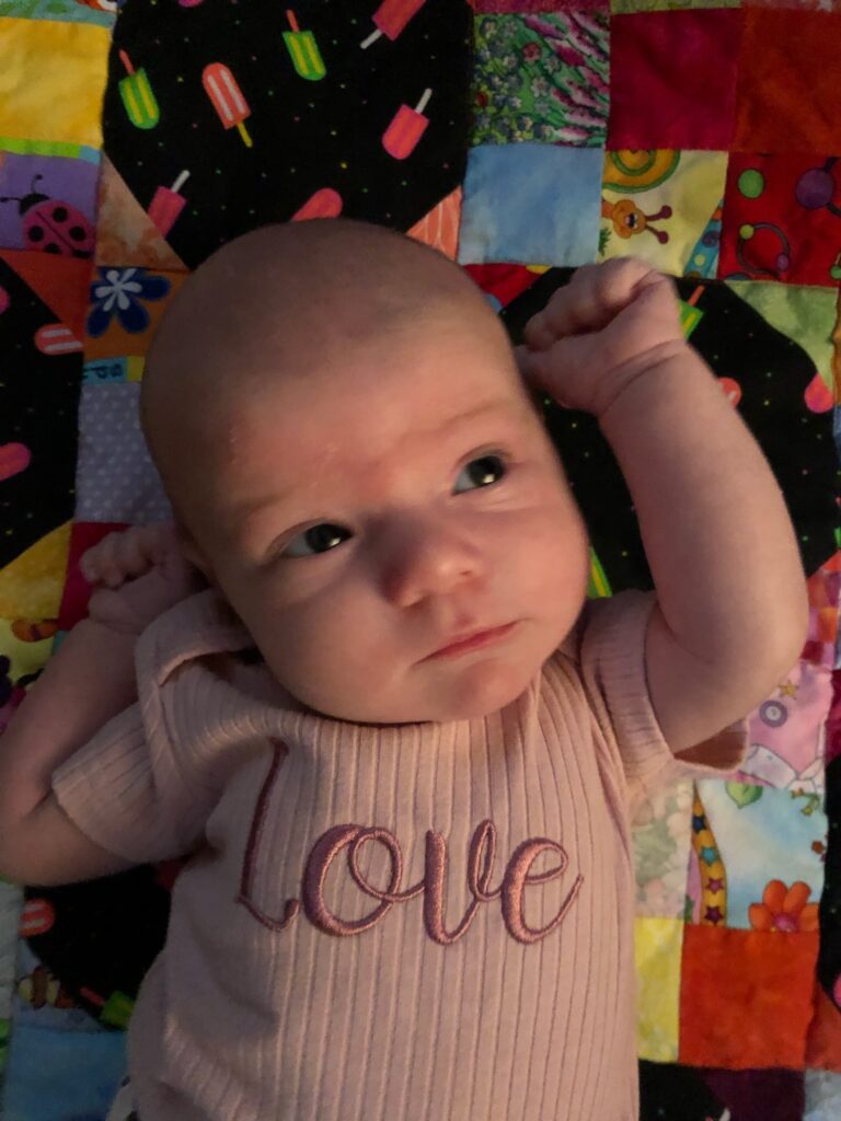 open adoption in florida