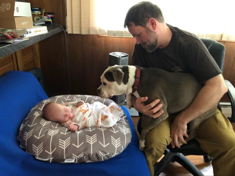 florida adoptions
