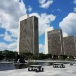 Albany adoption support