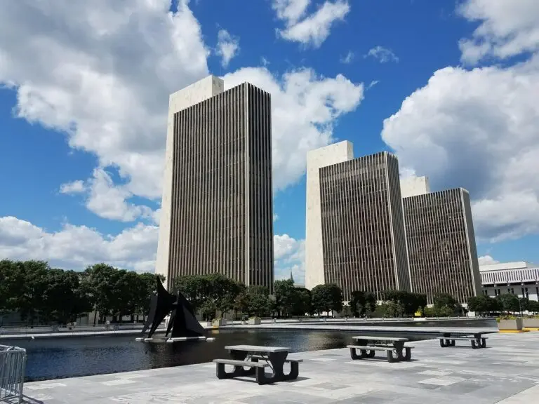 Albany adoption support